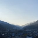 100세짬뽕 이미지