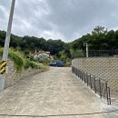 옥천면사무소 이미지