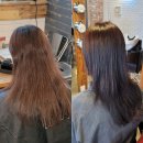회룡역 미용실 손상없이 염색잘하는곳 의정부 메종드헤어0403 회룡역점