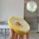 대구 남산동 카페 ‘비비커피(BB COFFEE)’ : 레몬 포셋 디저트 후기