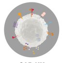 에스엘메디칼 이미지