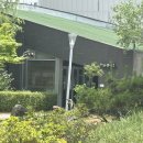 대전 스시 맛집 라쿠엔 내돈내산 후기 주차정보, 메뉴