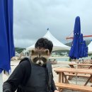 그리다용화 | 삼척 그리다용화 용화 방파제 스노클링 숙소 추천 용화물회 내돈내산 후기