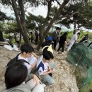 (주)인턴
