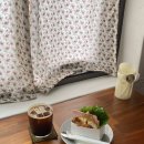 넝쿨링 | 광주 계림동 신상 카페 아오모모 내돈내산 솔직후기