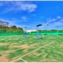 생활체육 정구장 이미지