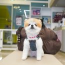 다오동물병원 이미지