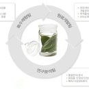 (주)메디웨이코리아 이미지