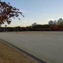 용성게이트볼장 이미지