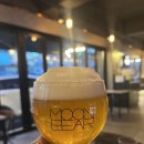 베스트올 야탑쌍용점 | 야탑역에서 가볍게 술 한잔하기 좋은 곳 | 교촌치킨 야탑역점🍺