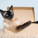 신현동물병원 이미지