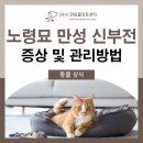 24시연동물의료센터 이미지