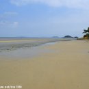 대광해수욕장 이미지