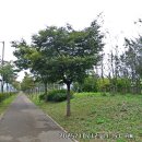 시화호 반달섬에서 안산호수공원을 지나 수변공원까지 이미지