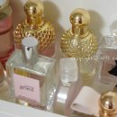 그레이스이인 이미지