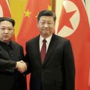 금성비디오 이미지