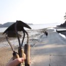 파인펜션 이미지