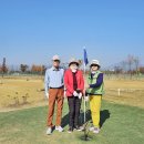 전국 최대급 창원 대산파크골프장 라운딩 이미지