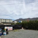 거제버섯매운탕 | ​거제 식물원 맛집 정정식 정갈한 회정식 한 상