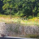 광교호수중학교 이미지