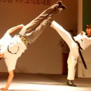 아리랑 태권도 이미지