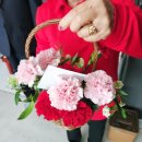 스마트빌 | 어버이날 꽃 추천, 부모님이 대만족하신 빌프랑 카네이션 꽃바구니 사전예약 후기 💐