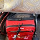 반려견 | 아시아나 반려견 동반 탑승 후기 | 비즈니스석 비용 규정 총정리