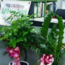 클로버 공인중개사사무소 이미지