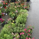 장계농장 이미지