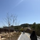 댕댕파크존