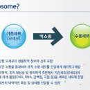 제일2차동물메디컬센터 이미지