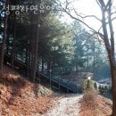 군민회관 강당 | 경기도계곡 청평자연휴양림 서울근교계곡 으로 무더위 피해 떠나요!