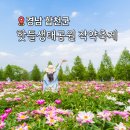 강림초등학교~달성군농업기술센터 | 대구 근교 꽃구경 합천 핫들생태공원 작약꽃축제