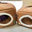 말티와푸들이사는집 이미지