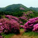 가곡축산 이미지