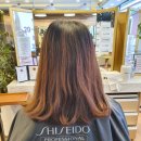 옥길동 726-5 | 옥길동미용실 / '제오헤어 부천옥길점'에서 카키브라운 염색후기