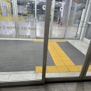 기아타이거즈 스프링캠프 오키나와/오키나와 자매여행 후기