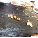 정원똥돼지