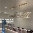 에이블메디 이미지