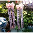 엘림가든 Daum카페
