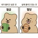 없   음 이미지