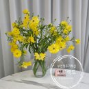 혁신한아름공인중개사사무소 | "부천형 주거혁신 프로젝트 발표" 한국경제 기사 공유 -반달마을 한아름마을 탑부동산