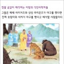 뿌리있는 나무 이미지