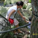 대자연횟집 이미지