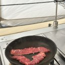 경산 도그랜드 | 경북울진 후정해수욕장 낚시 애견동반캠핑