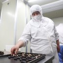 래그랜느보호작업장 이미지