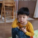 담주할머니 이미지