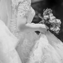 페브러리래빗 이미지