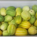 신철호농장 이미지