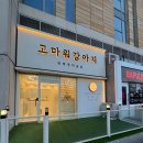 아토 강아지 미용실 | 송도 비숑 가위컷 잘하는 애견미용실 추천🐶